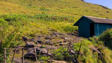 Check out the best places to visit in Mankulam