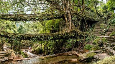 Treks in Meghalaya