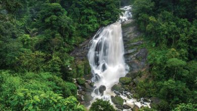 Waterfalls in Munnar