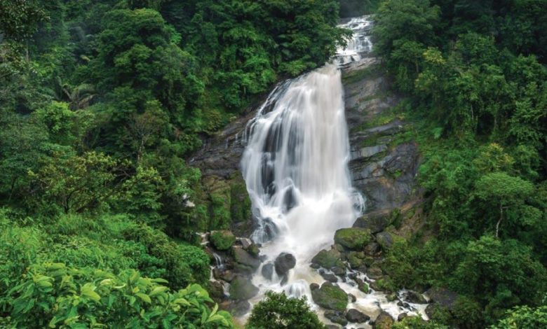 Waterfalls in Munnar