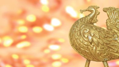 Souvenirs from India