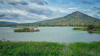 Check out the best places to visit in Kolar