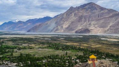 Nubra Valley﻿