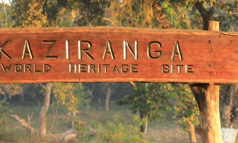 Kaziranga National Park