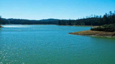 Lakes in ooty
