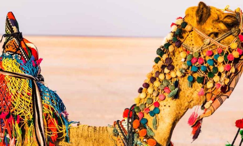 Embrace the vibrant culture in different places to visit in Gujarat