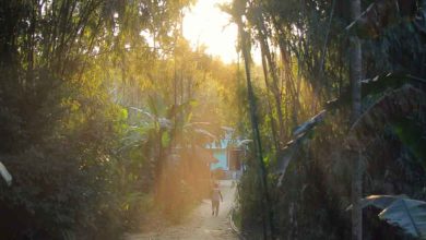 Places to visit in Assam