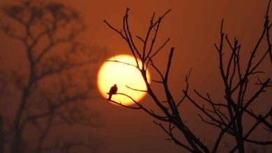 Places to visit in Uttar Pradesh