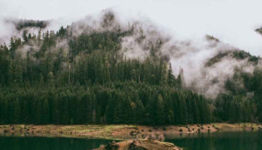 Long Weekend in July 2025: Rejuvenating in the Monsoon Winds