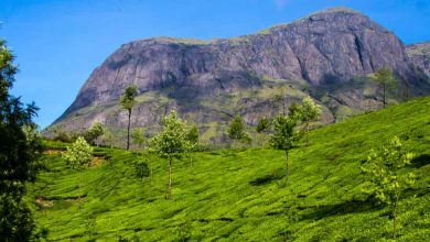 Long weekend in september 2025