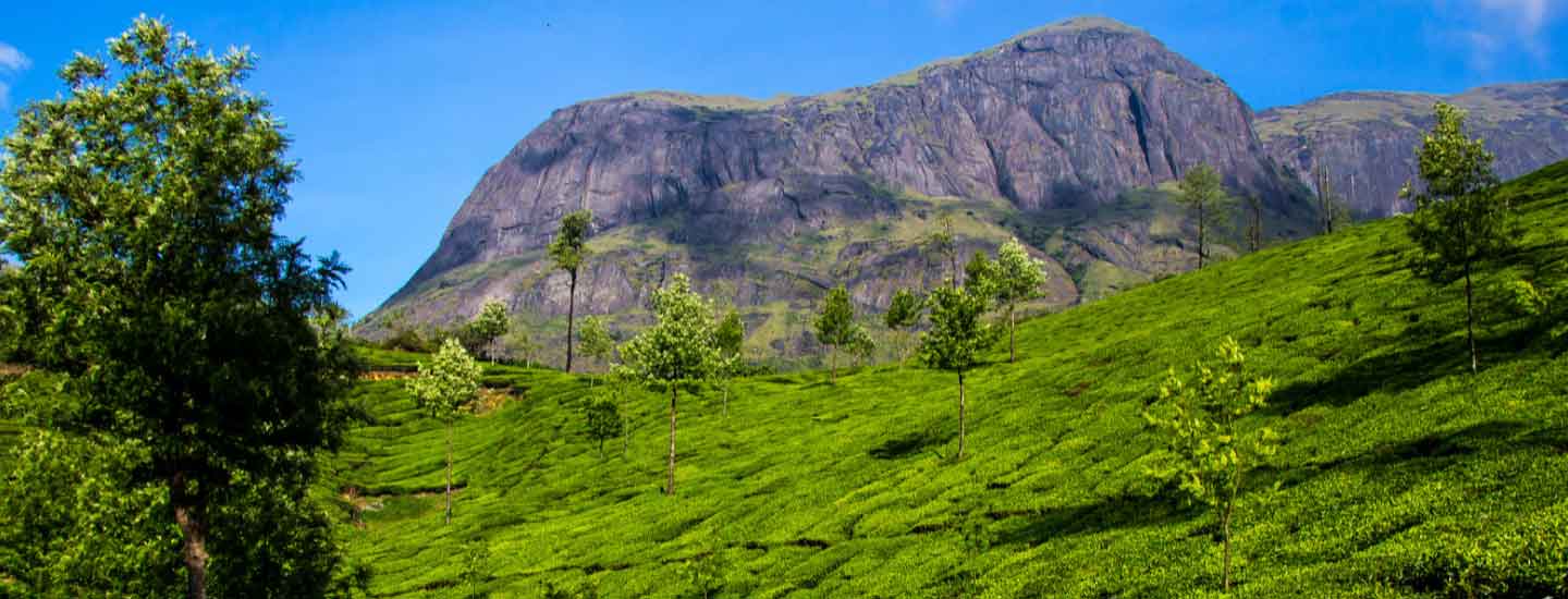 Long Weekend in September 2025