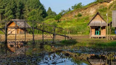 Long Weekend in April 2025