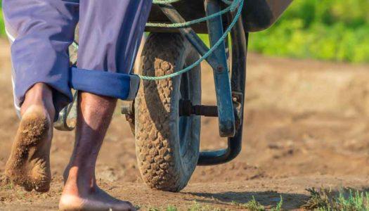Labour Day: Paying Tribute to the Backbone of the Economy