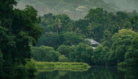 10 Breathtaking Places to Visit in Thekkady: Explore Tiger Reserve, Artificial Lake, Spice Market and Temples!