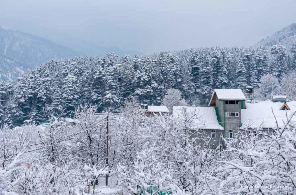 Long Weekend in January 2026