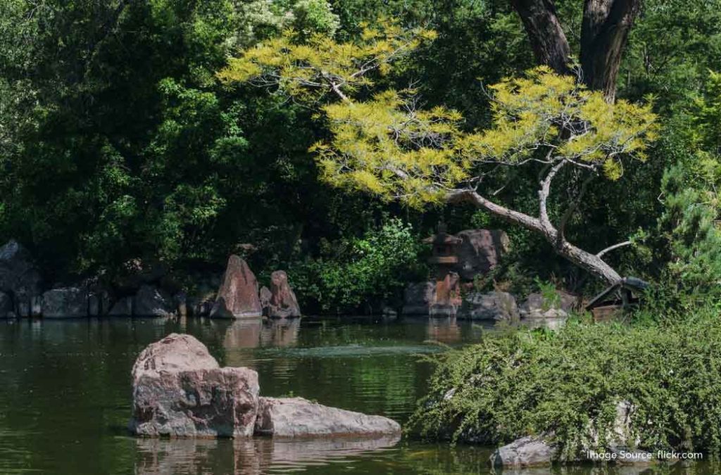 Visit Japanese Garden for a great time with loved ones