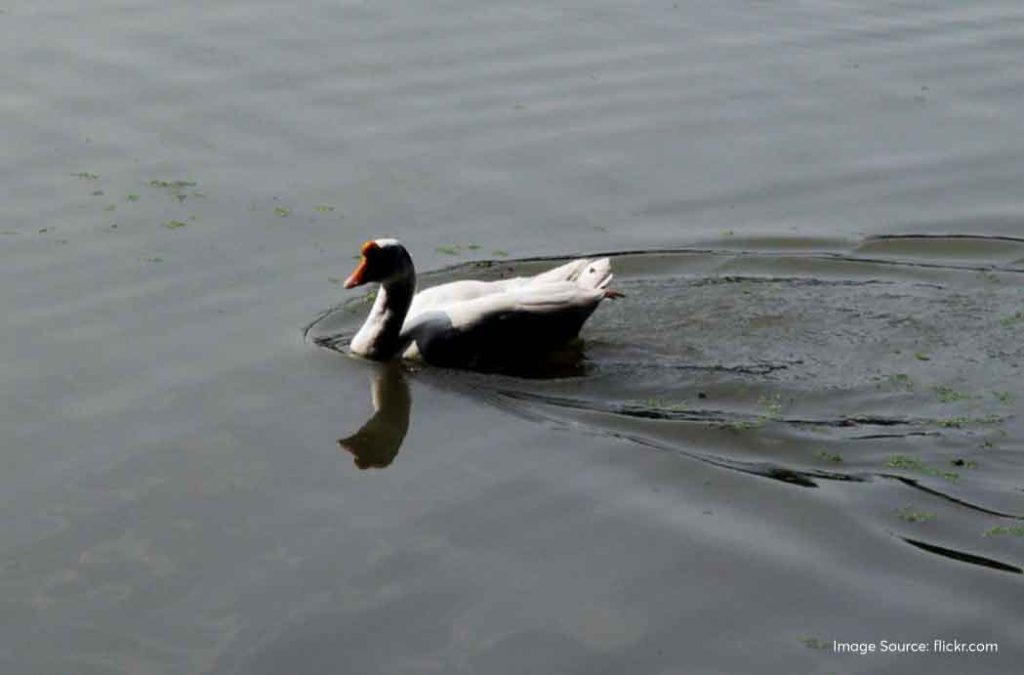 Check out the best places to see in Kanpur