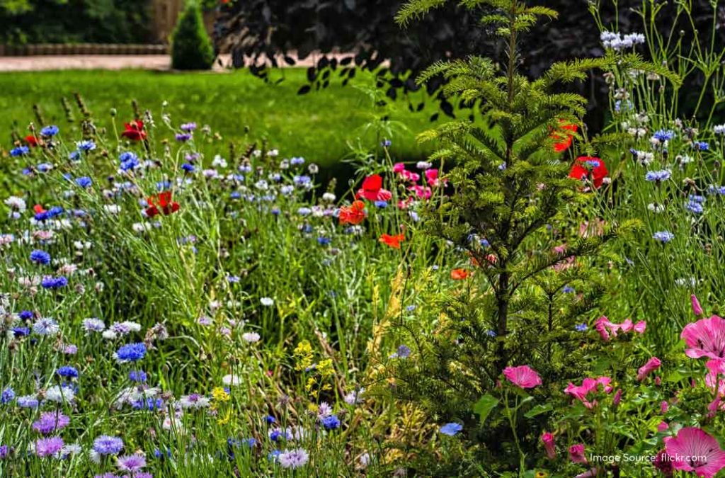 Phool Bagh is a top-rated place to see in Kanpur