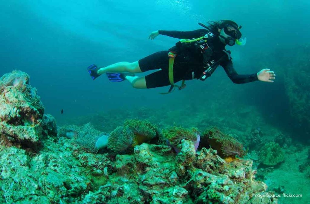 Enjoy thrilling water sports near Candolim beach