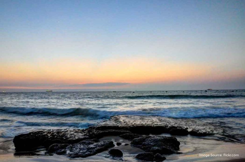 Explore the best places near Candolim Beach