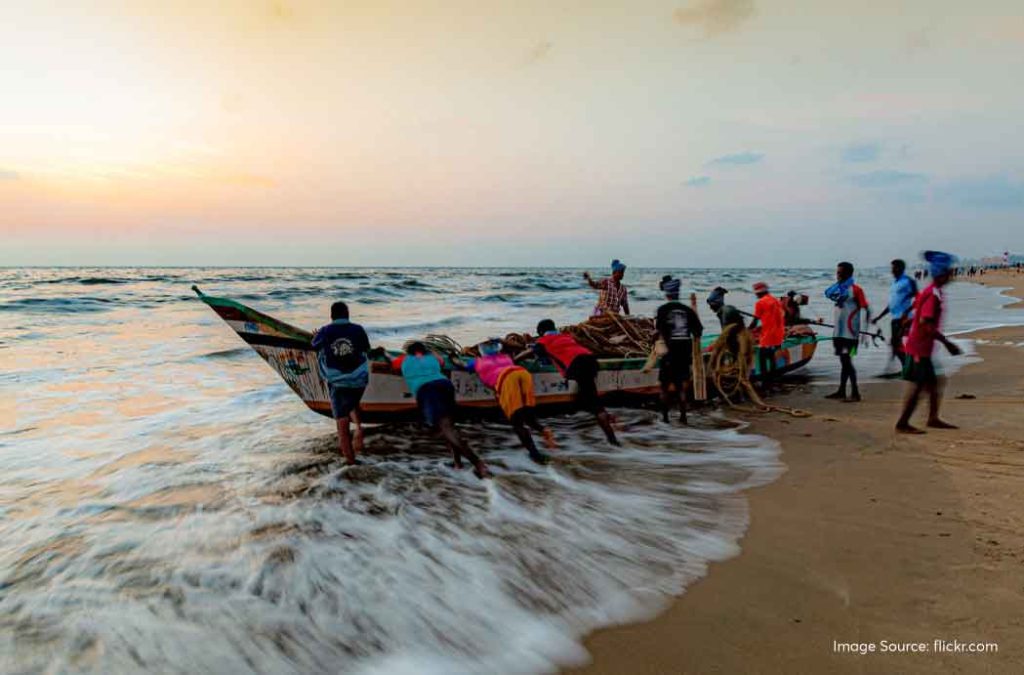 Things to do in Marina Beach