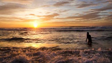 Things to do in Marina Beach