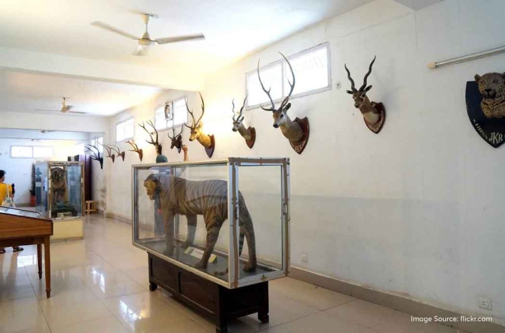 Explore the artefacts at Visakha Museum, one of the famous tourist places near RK Beach.