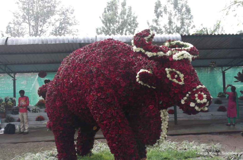 Anna Park is one of the famous garden places to visit in Yercaud.