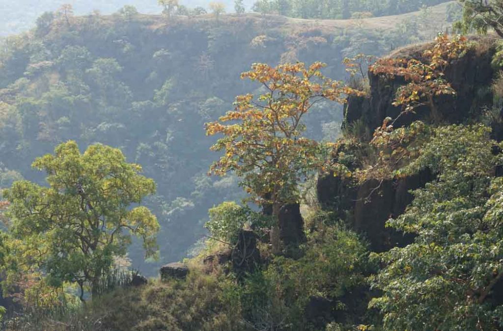 Places to visit in Sakleshpur