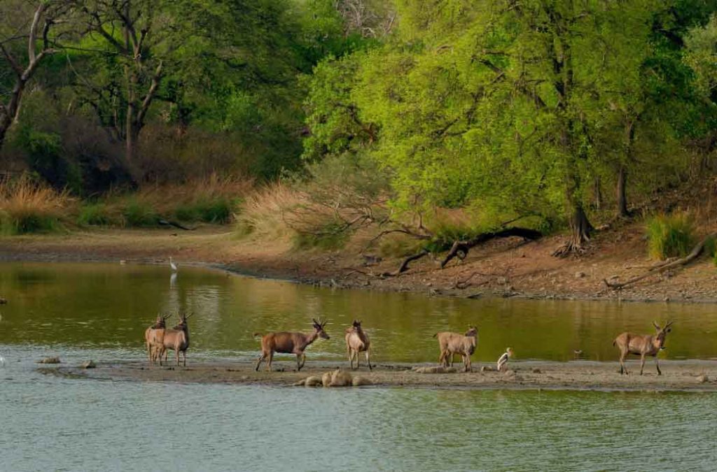 Top 10 places to visit in Kota