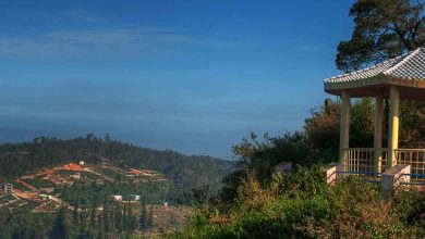 Explore the serene places to visit in Yercaud.