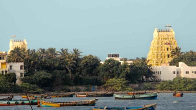 Here are the best places to visit in Rameswaram for a lovely getaway