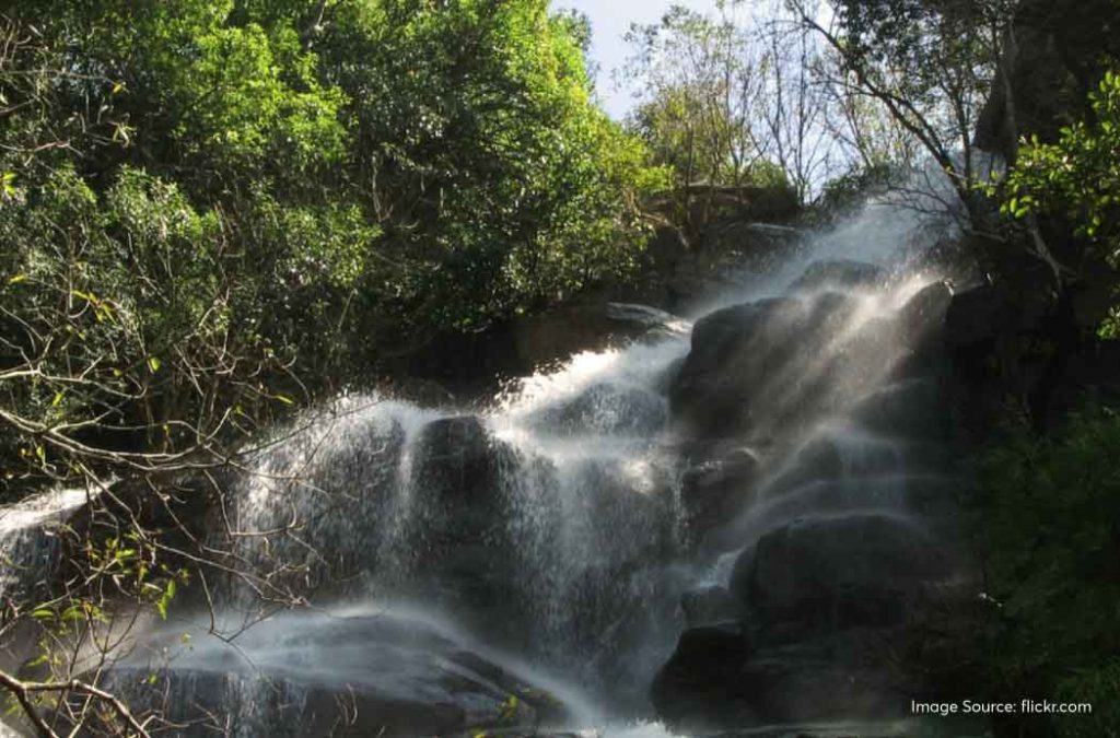 Kiliyur Fall is one of the serene place to visit in Yercaud.