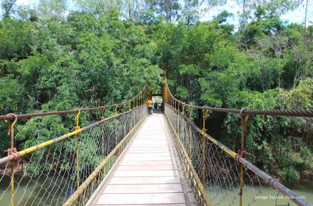 Check out the best places to visit in Madikeri for a fun time