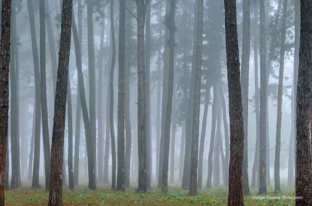 Here are the best Araku tourist places