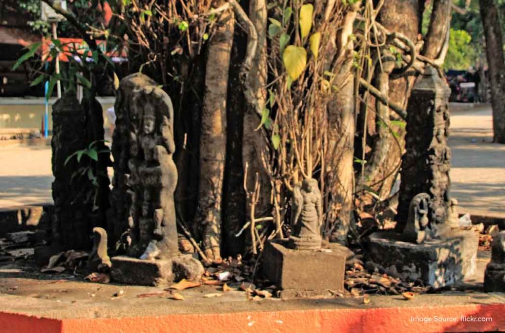 Mannarasala Nagarja Temple is one of the most famous temples in Kerala