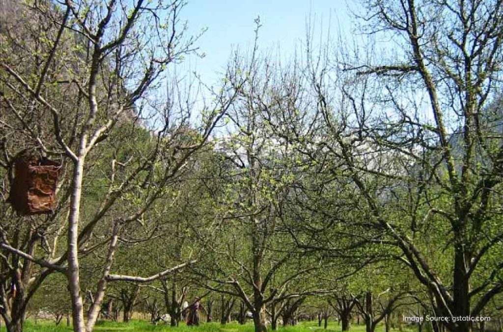 Here is one of the best places to visit in Kasol