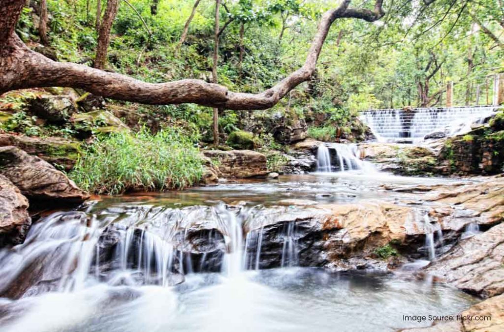 Bee Fall is one of the best places to visit in Pachmarhi, for adventurous activities.