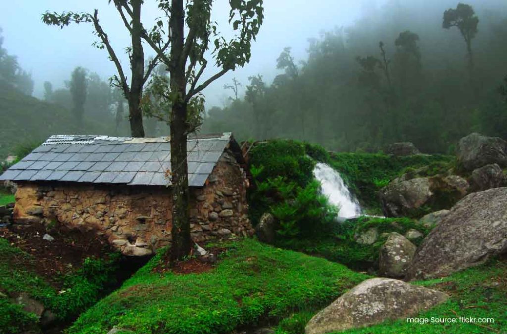 Here are the best places to visit in Palampur for a lovely stay
