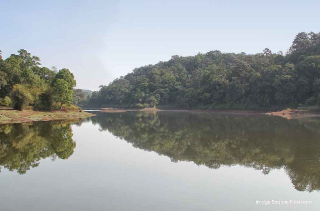 Gavi is one of the serene places to visit in Pathanamthitta.