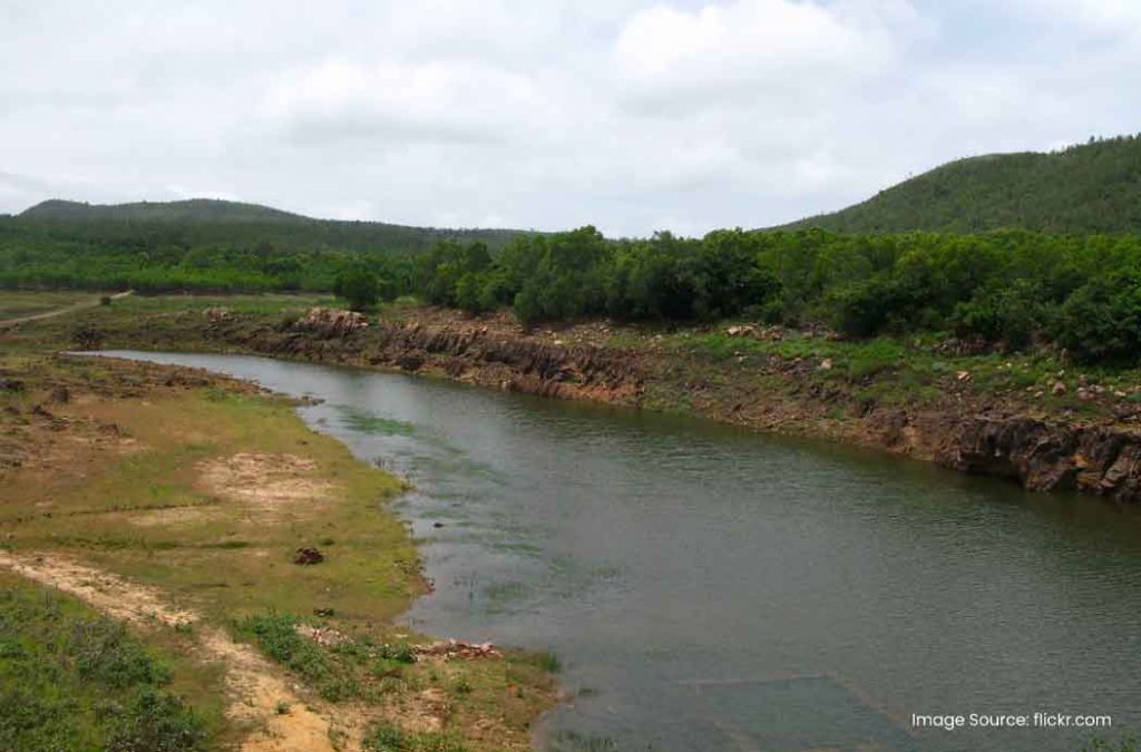 Here are some of the best places to visit in Tirumala for a divine journey