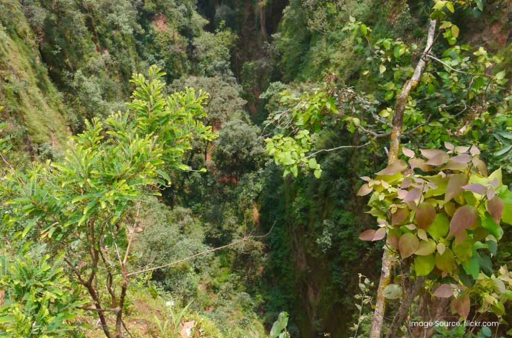 Handi Khoh is one of the popular tourist places to visit in Pachmarhi.