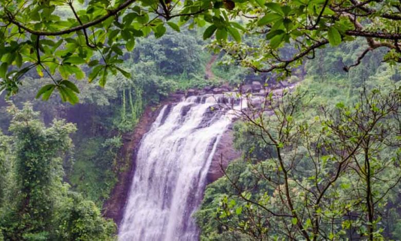 Places to visit in Igatpuri.