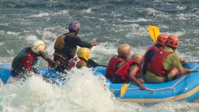 Places to visit in Dandeli