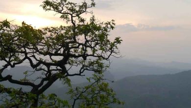 Places to visit in Pachmarhi