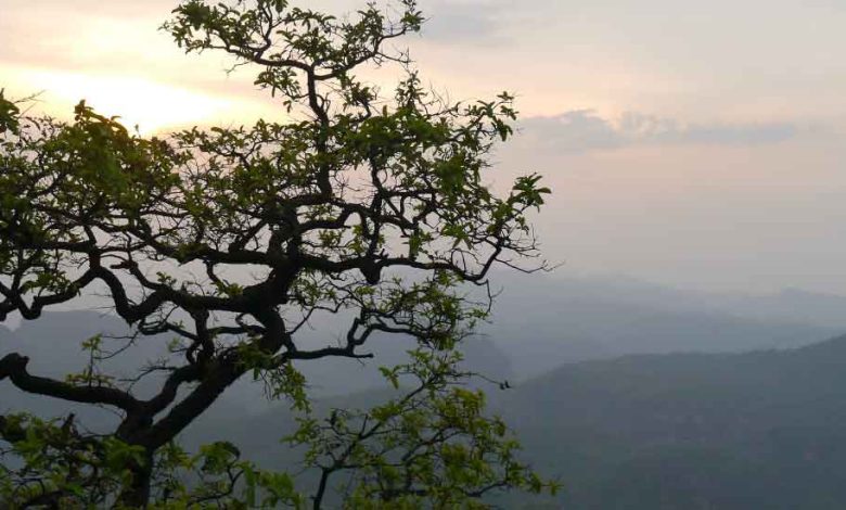Places to visit in Pachmarhi
