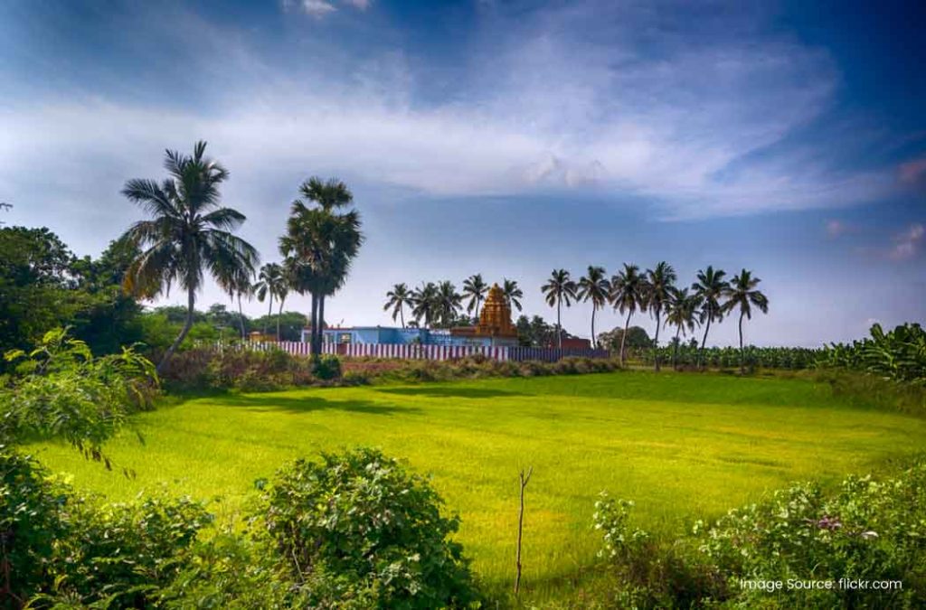 Explore the places to visit in Tirunelveli.