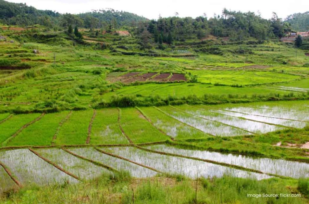 Enjoy a scenic getaway in best places to visit in Cherrapunjee.