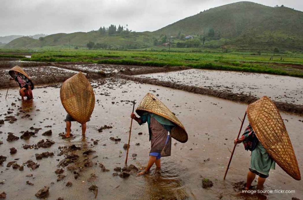 Mawsynram is one of the beautiful places to visit in Cherrapunjee.