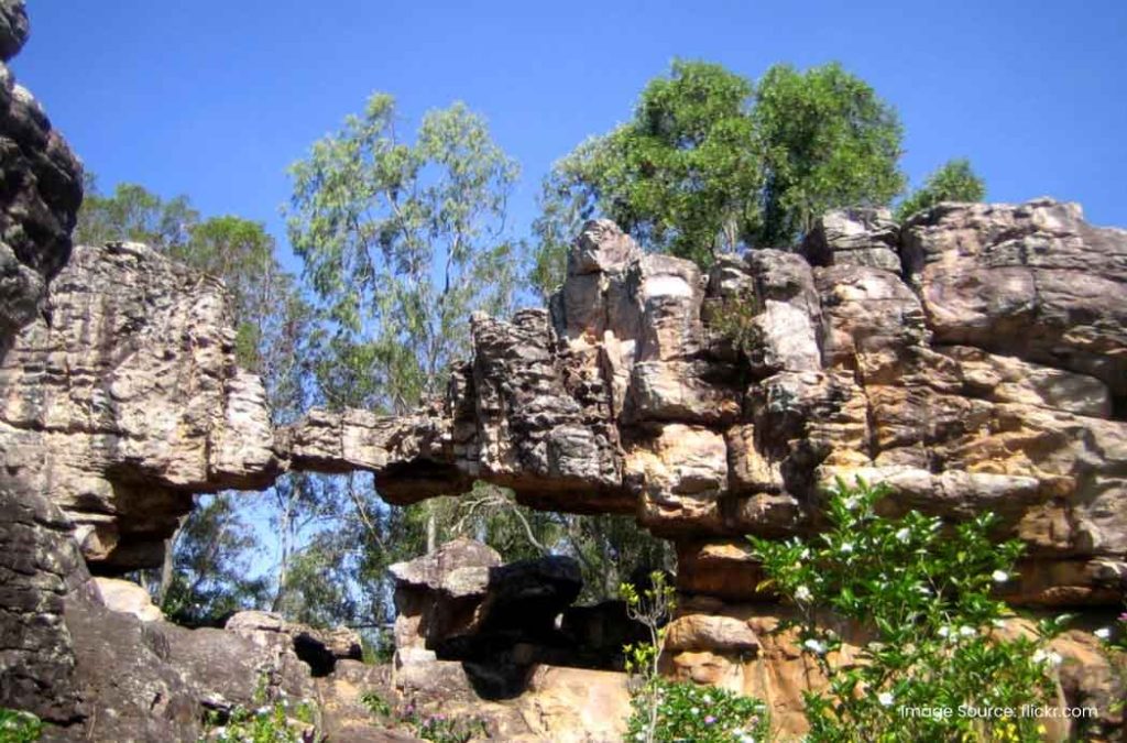 Here are some of the best places to visit in Tirumala for a divine journey